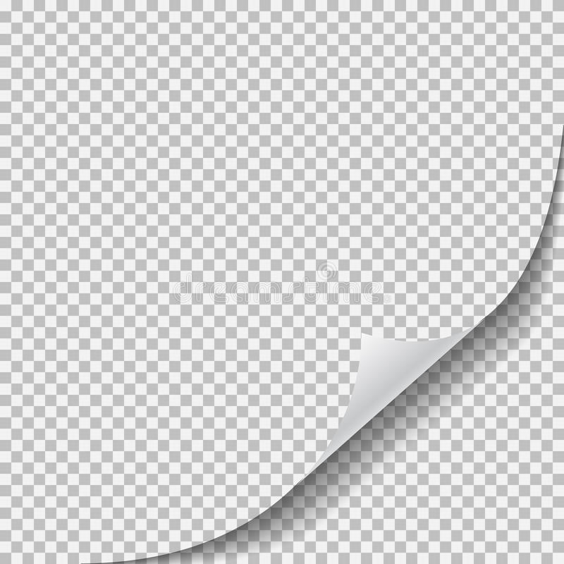 Detail Page Curl Png Nomer 29