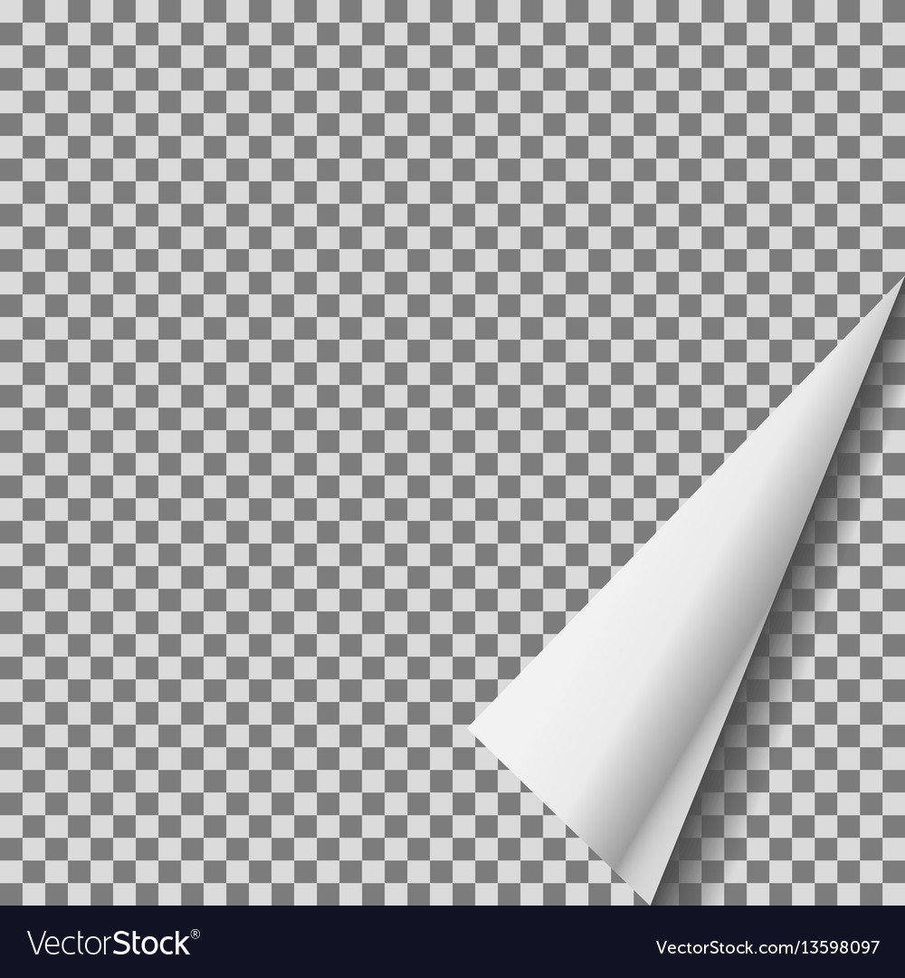 Detail Page Curl Png Nomer 30