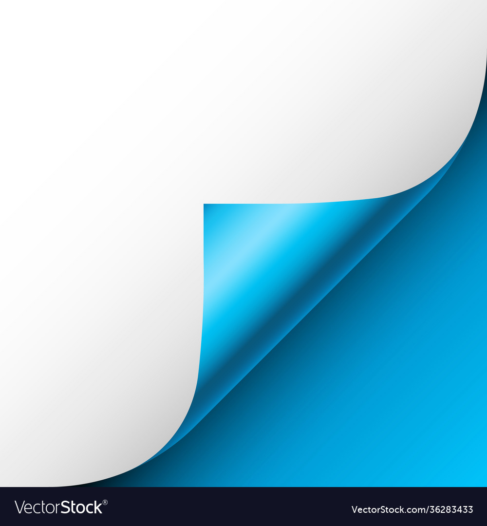 Detail Page Curl Png Nomer 31