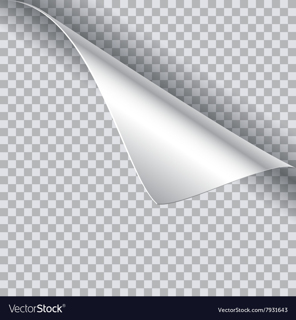 Detail Page Curl Png Nomer 32