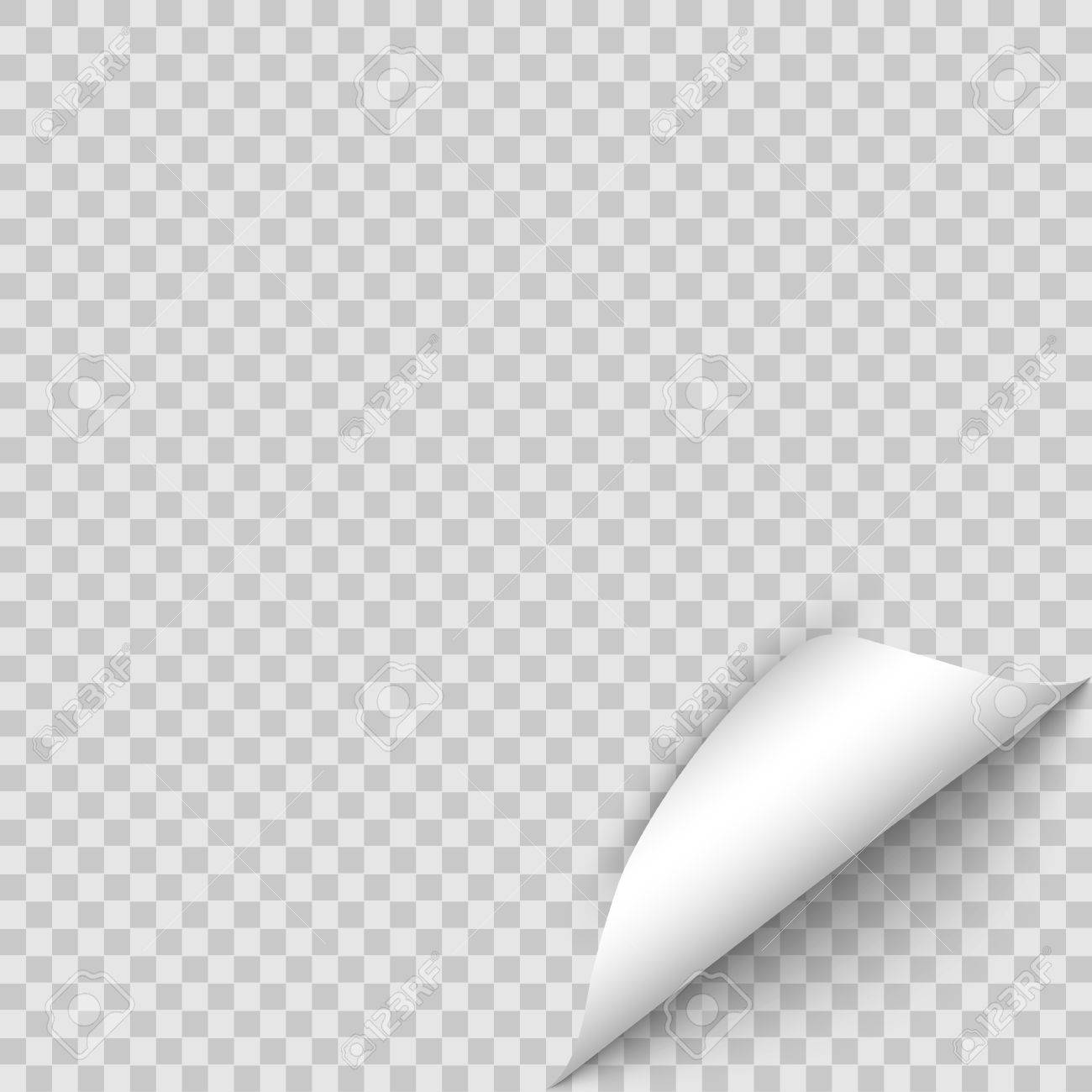 Detail Page Curl Png Nomer 34