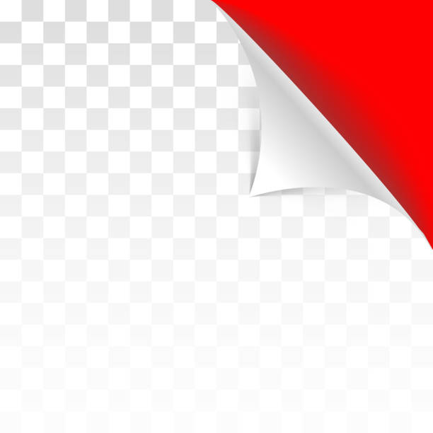 Detail Page Curl Png Nomer 38