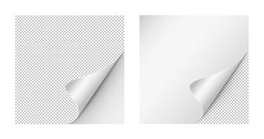 Detail Page Curl Png Nomer 40