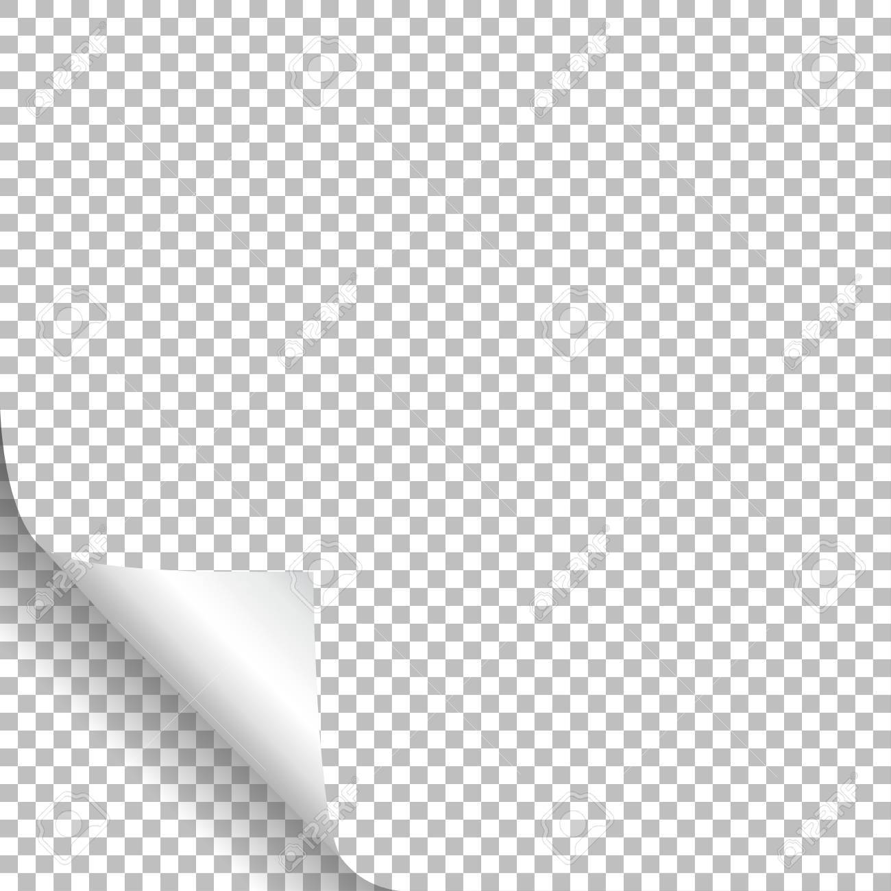Detail Page Curl Png Nomer 43