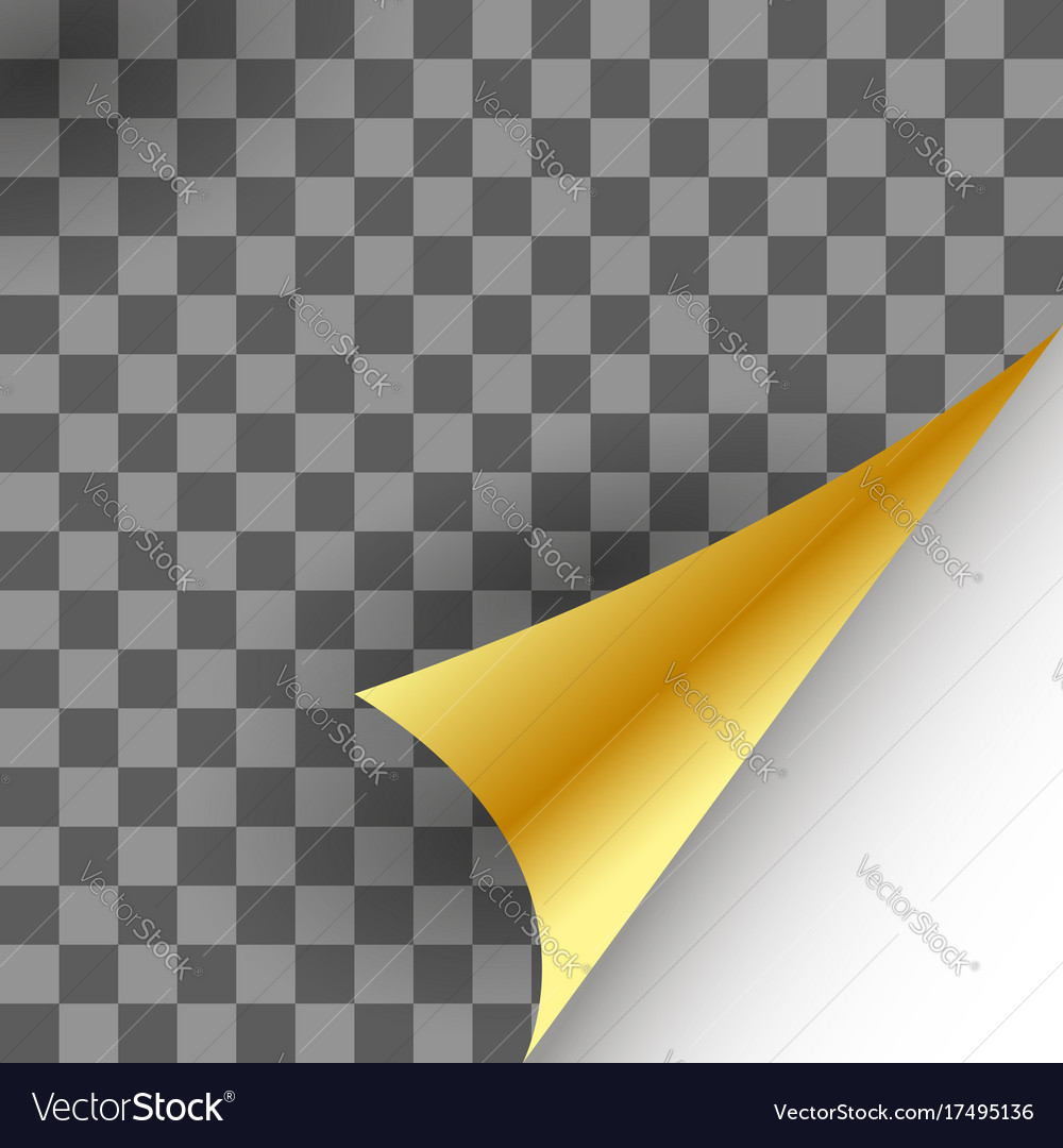 Detail Page Curl Png Nomer 49
