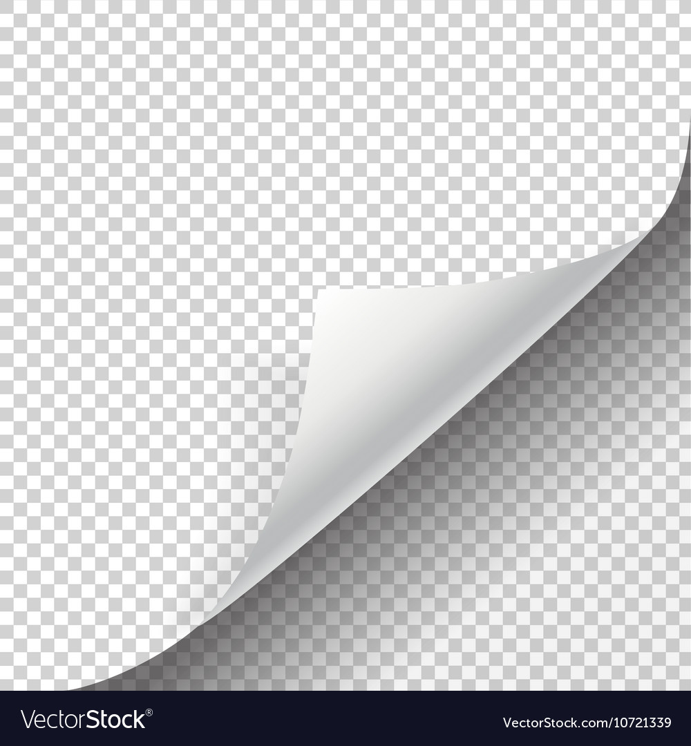 Detail Page Curl Png Nomer 8
