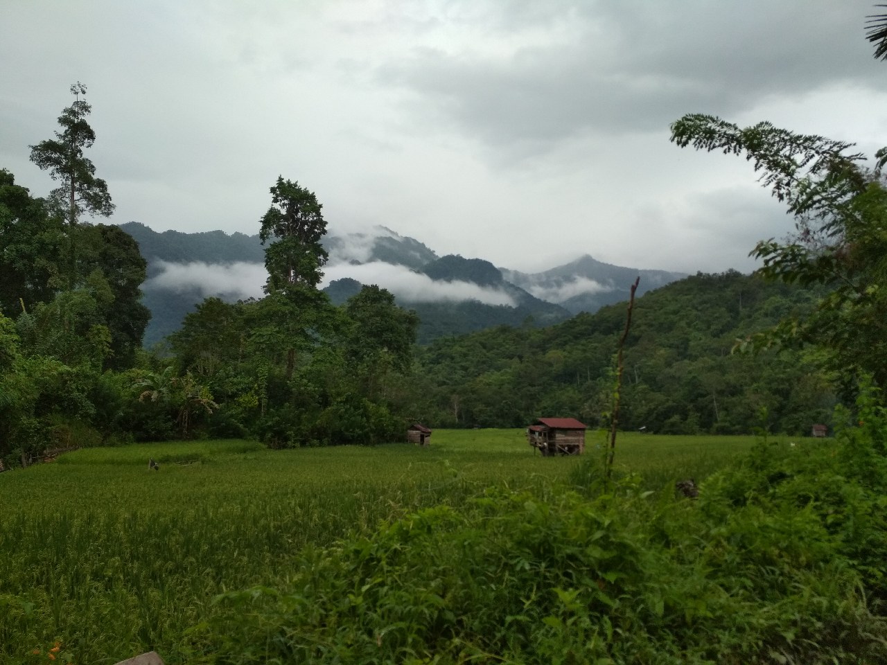 Pagi Yang Mendung - KibrisPDR