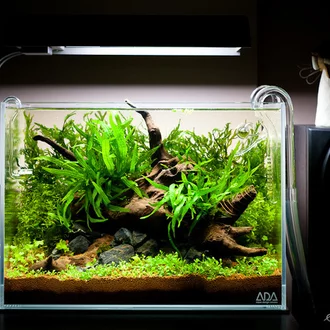 Detail Paket Aquascape Mini Nomer 19