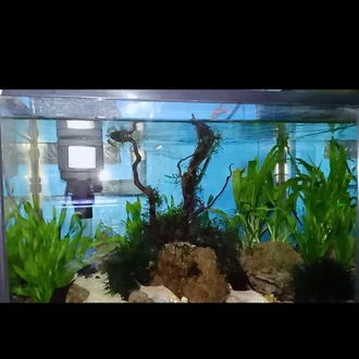 Detail Paket Aquascape Mini Nomer 58