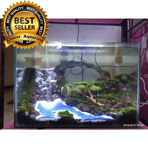 Detail Paket Aquascape Murah Nomer 17