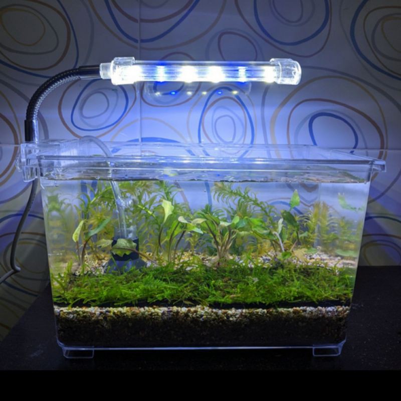 Detail Paket Aquascape Murah Nomer 32