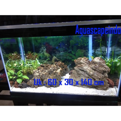 Detail Paket Aquascape Murah Nomer 8