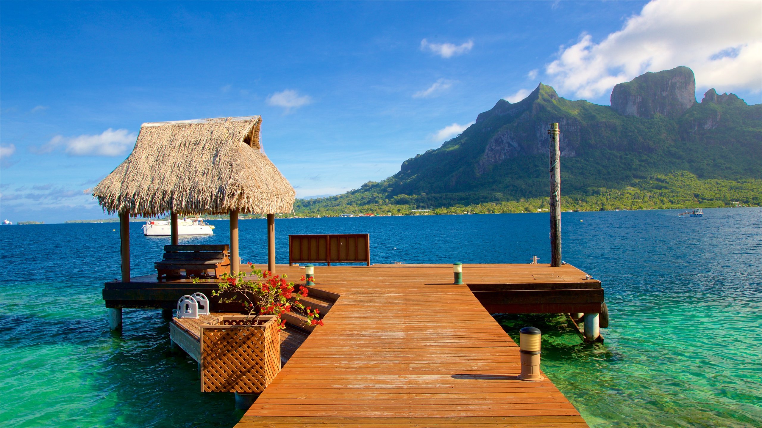 Detail Paket Wisata Bora Bora Nomer 42