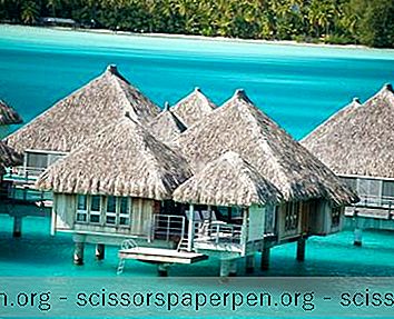 Detail Paket Wisata Bora Bora Nomer 8