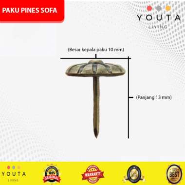 Detail Paku Pines Warna Warni Nomer 47