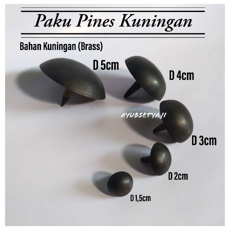 Detail Paku Pines Warna Warni Nomer 56