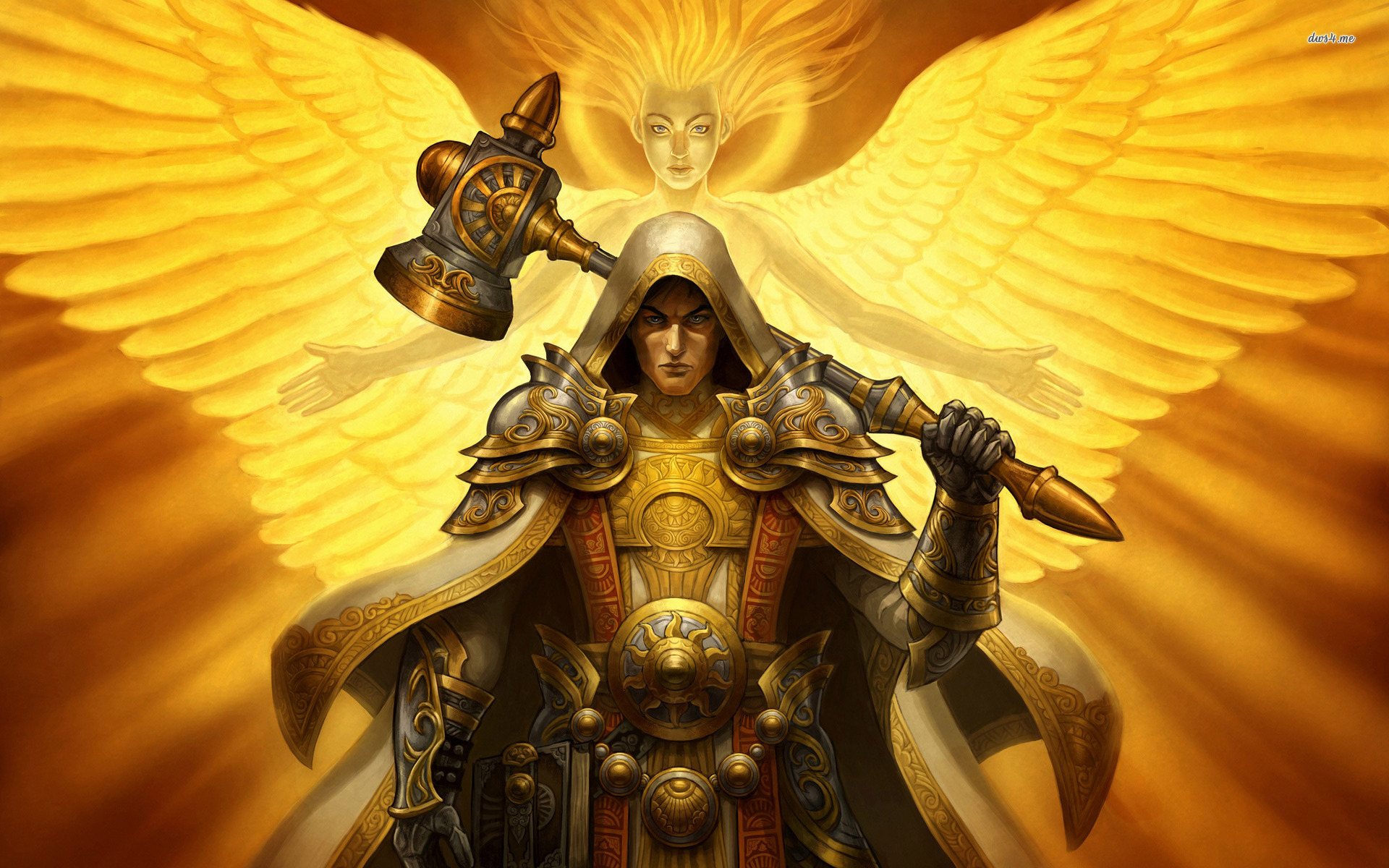 Detail Paladin Wallpaper Nomer 7