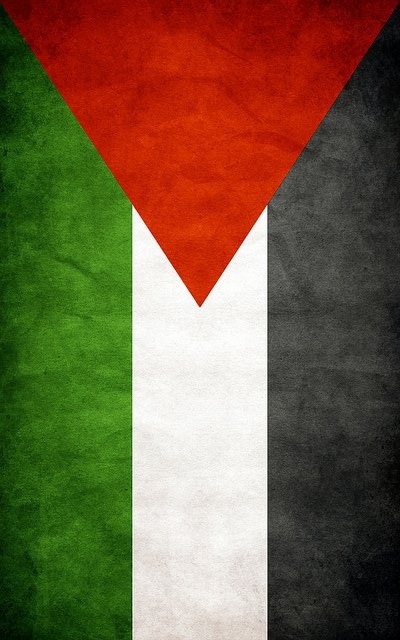 Detail Palestine Flag Wallpaper Nomer 26