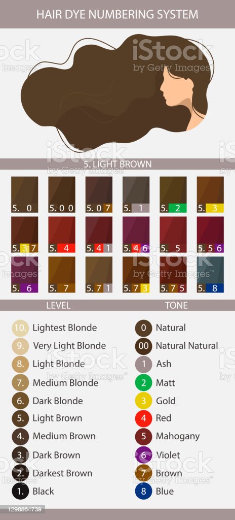 Detail Palet Warna Rambut Vector Nomer 12