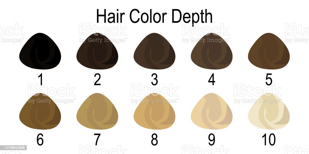 Detail Palet Warna Rambut Vector Nomer 13