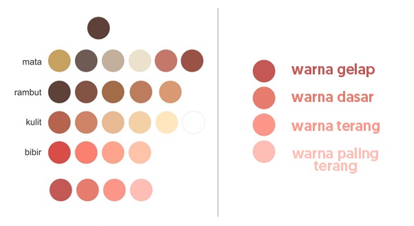 Detail Palet Warna Rambut Vector Nomer 19