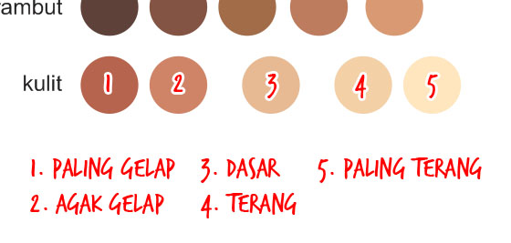 Detail Palet Warna Rambut Vector Nomer 20