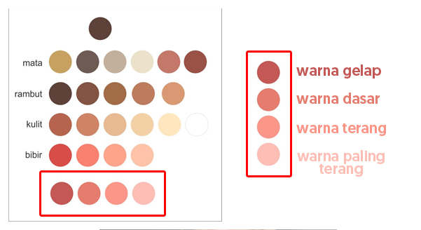 Detail Pallet Wajah Vector Nomer 12