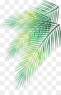Detail Palm Branches Png Nomer 32