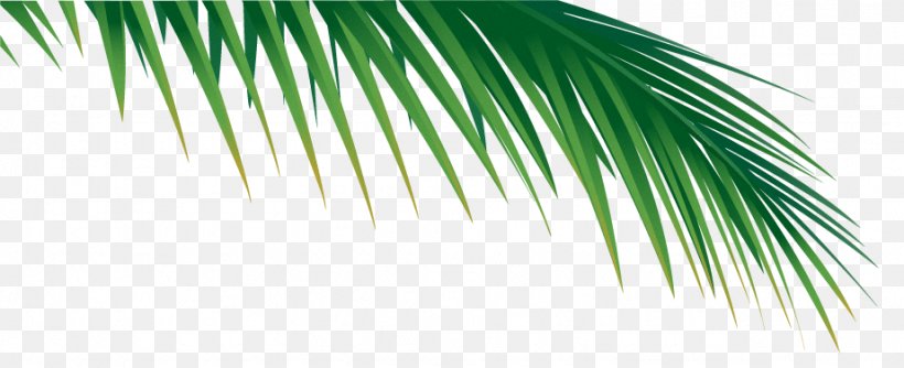 Detail Palm Branches Png Nomer 47