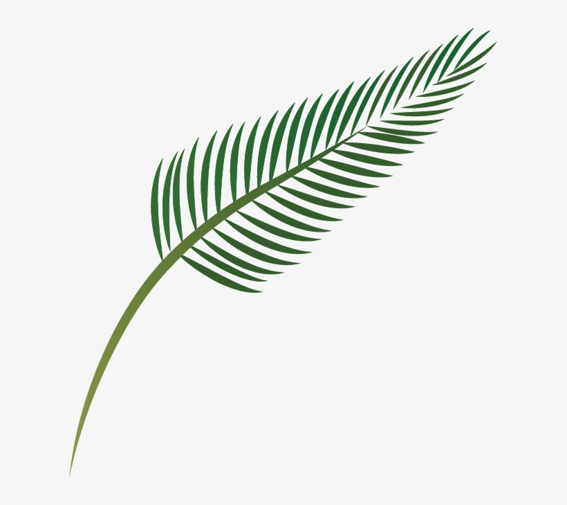 Detail Palm Branches Png Nomer 52