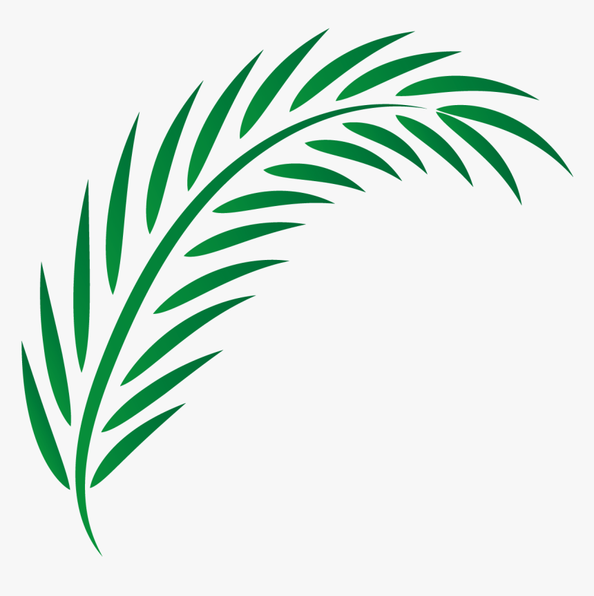 Detail Palm Fronds Png Nomer 52