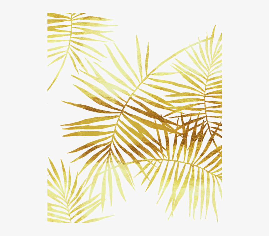 Detail Palm Fronds Png Nomer 57