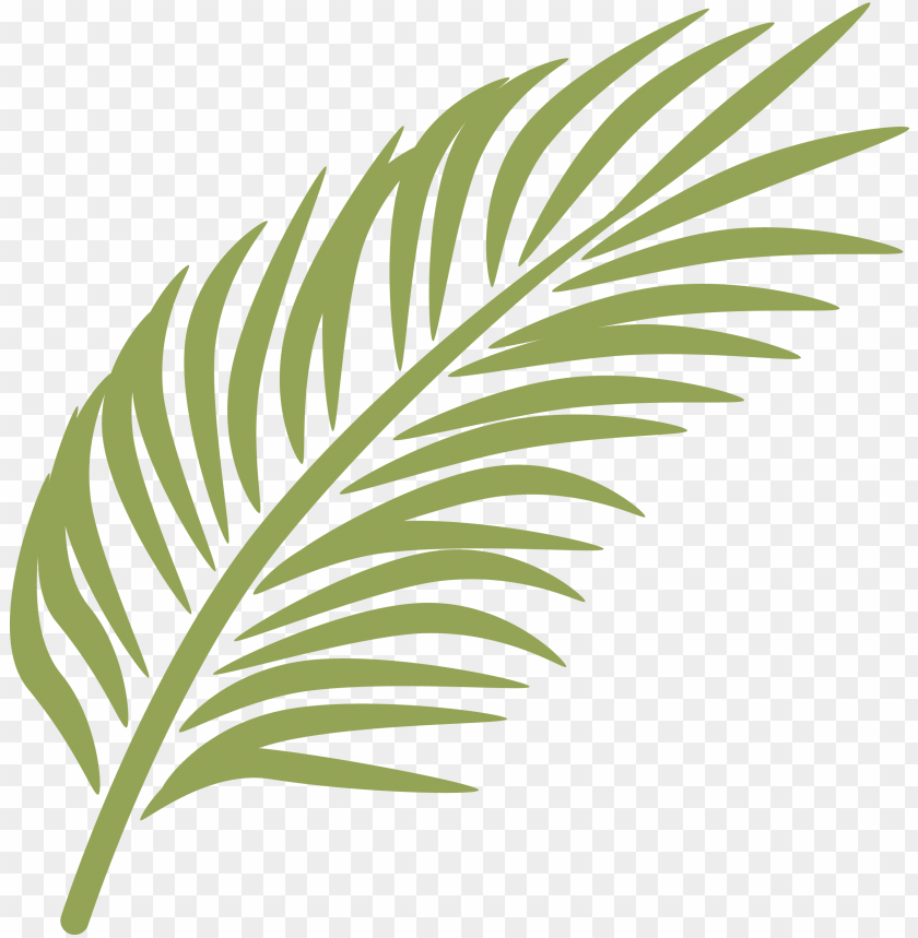 Detail Palm Leaf Clip Art Free Nomer 20