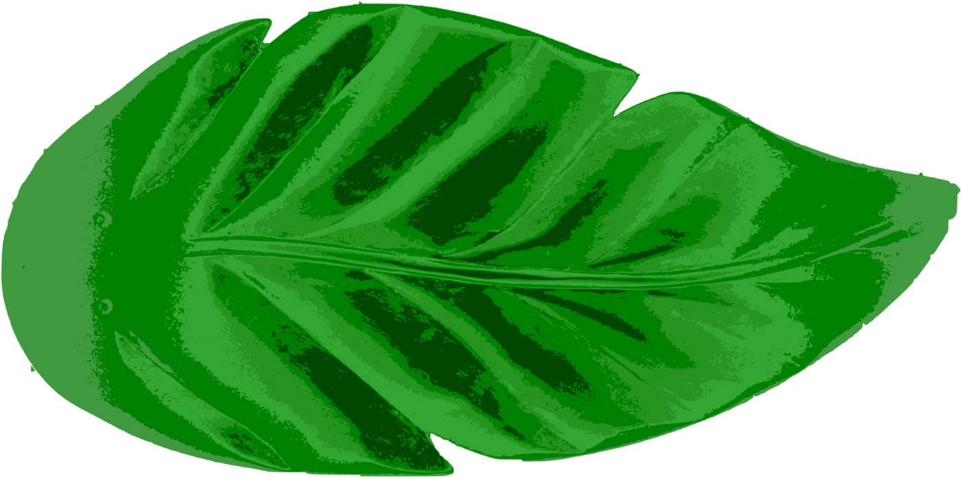 Detail Palm Leaf Clip Art Free Nomer 32