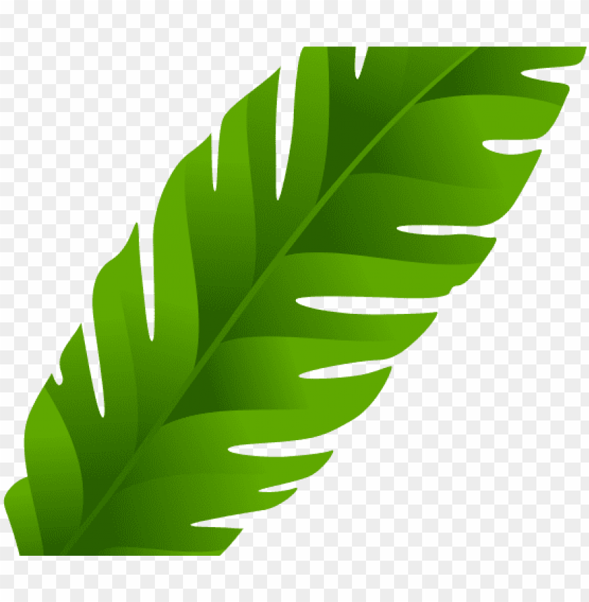 Detail Palm Leaf Clip Art Free Nomer 38