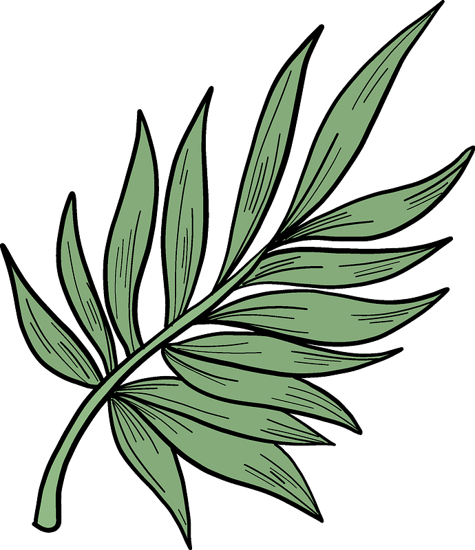 Detail Palm Leaf Clip Art Free Nomer 42