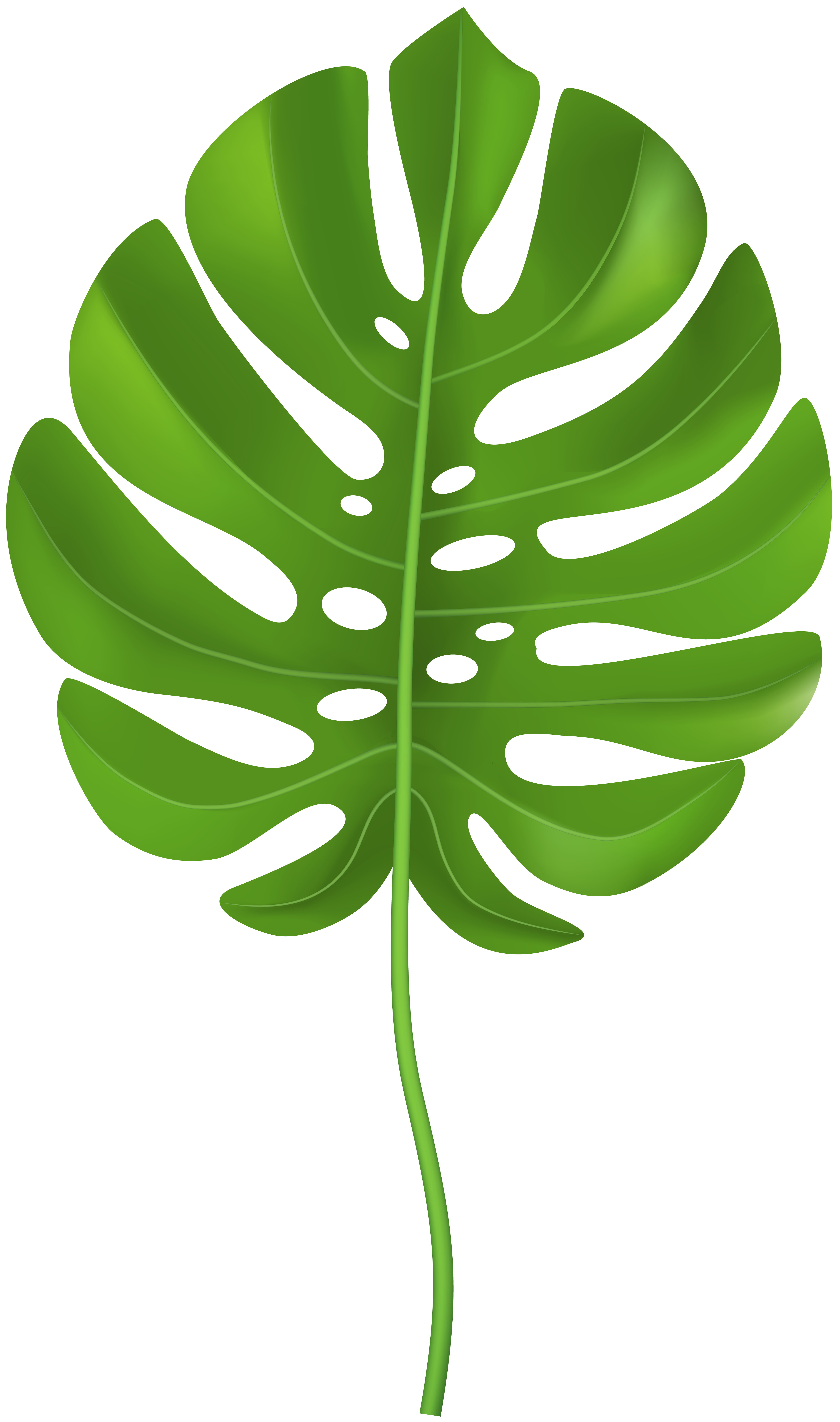 Detail Palm Leaf Clipart Nomer 13