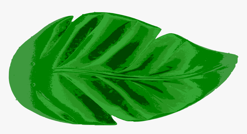 Detail Palm Leaf Clipart Nomer 25