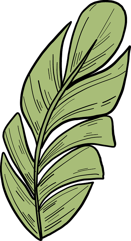 Detail Palm Leaf Clipart Nomer 37