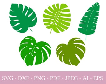 Download Palm Leaf Clipart Nomer 39