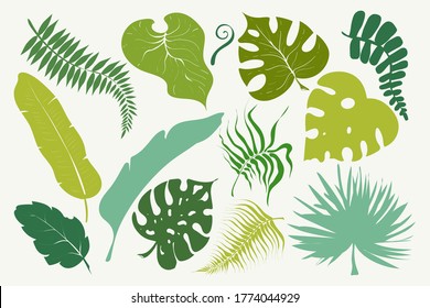 Detail Palm Leaf Clipart Nomer 42