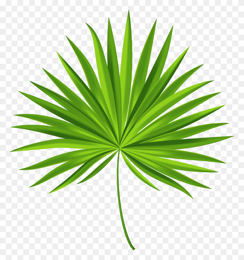 Detail Palm Leaf Clipart Nomer 44