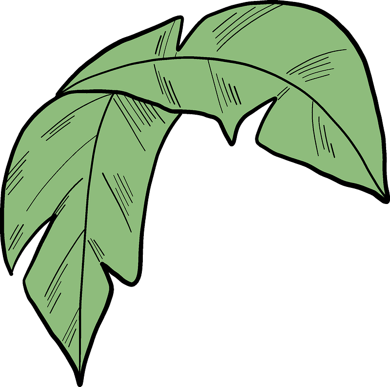 Detail Palm Leaf Clipart Nomer 48