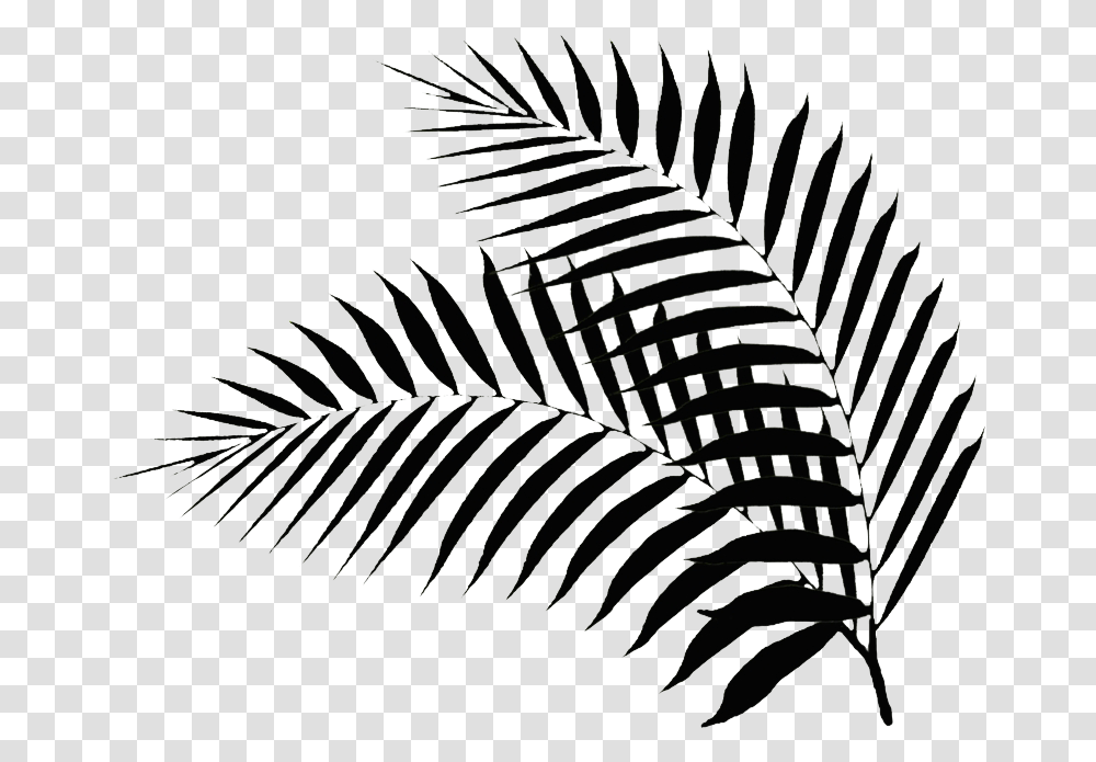 Detail Palm Leaf Clipart Nomer 54