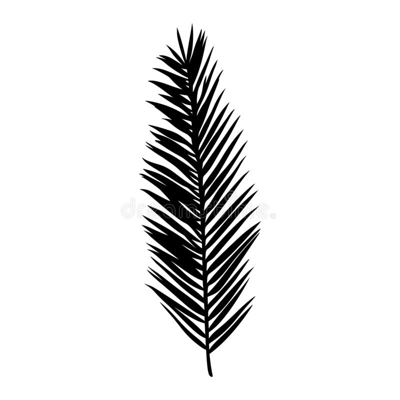 Detail Palm Leaf Clipart Black And White Nomer 15