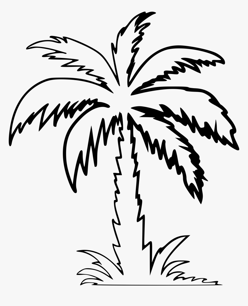 Detail Palm Leaf Clipart Black And White Nomer 52