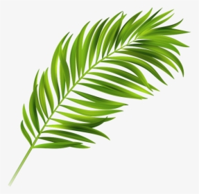 Detail Palm Leaf Graphics Nomer 13