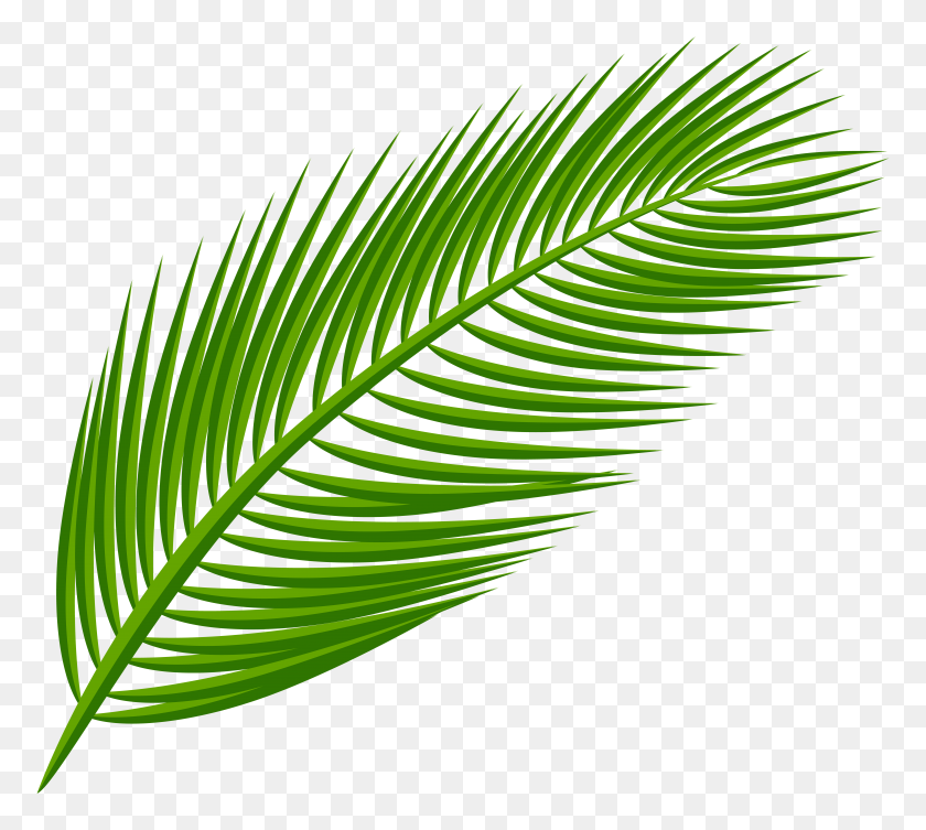 Detail Palm Leaf Graphics Nomer 20