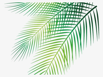 Detail Palm Leaf Png Nomer 25