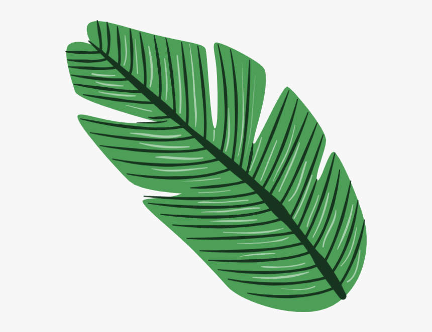 Detail Palm Leaf Png Nomer 42